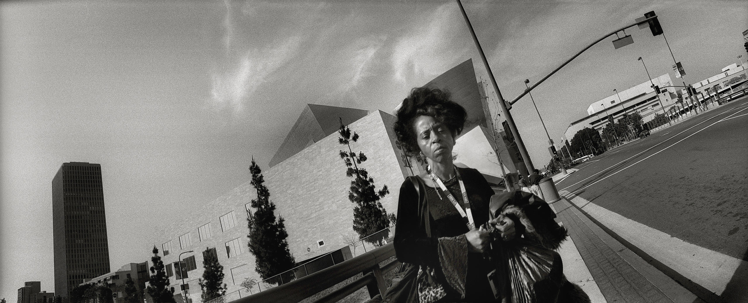 Tony Rivetti Jr. Photographer