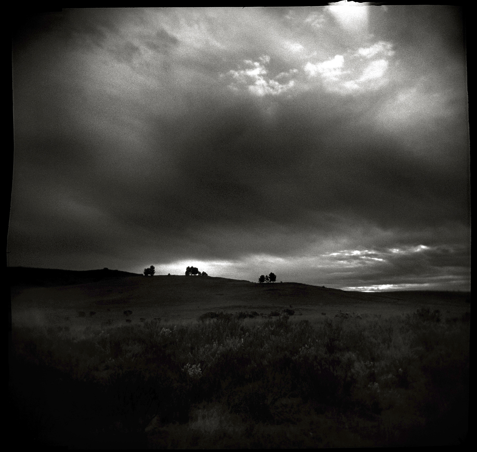 Tony Rivetti Jr. Photographer