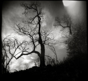 Tony Rivetti Jr. Photographer