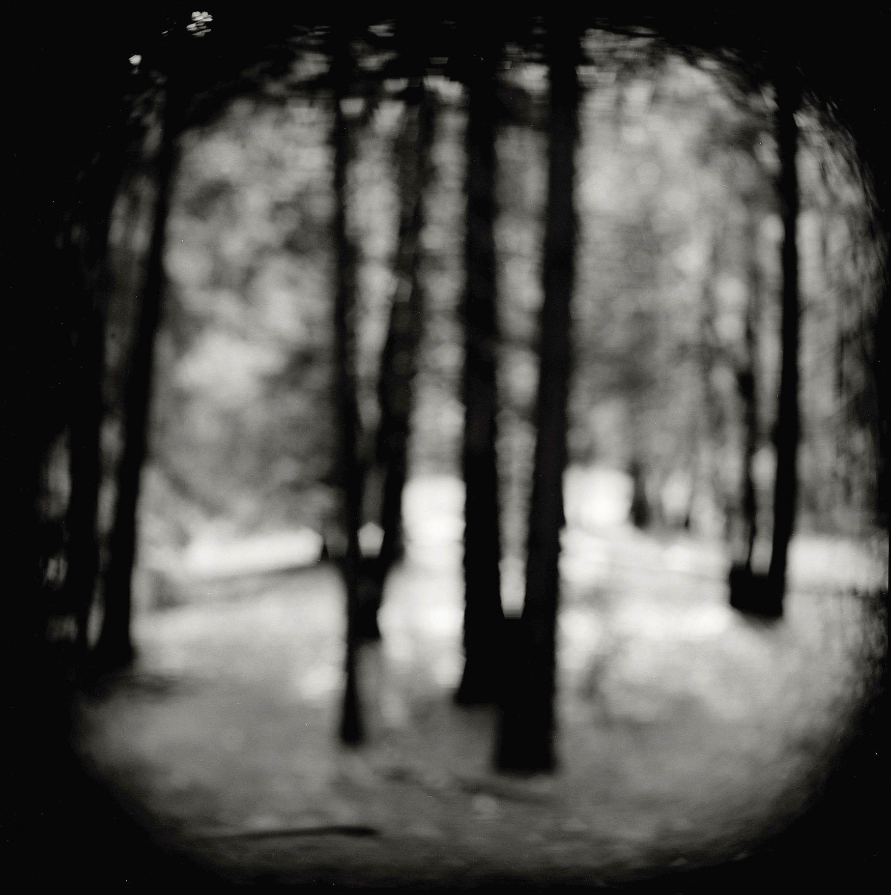 Tony Rivetti Jr. Photographer