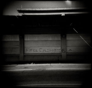 Tony Rivetti Jr. Photographer