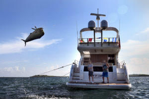 Tony Rivetti Jr. Photographer